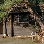 Oaktree A Peaceful Country Escape Vakantiehuis Montenay